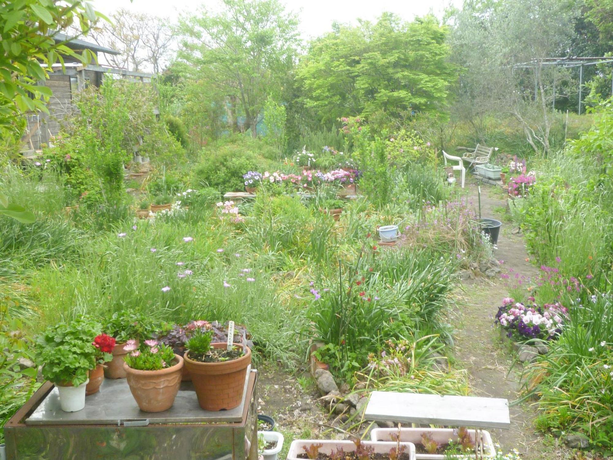 Pension Flora Tateyama  Extérieur photo